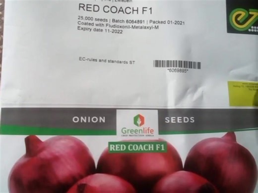 1.9K views | Onion farming in Kenya; How to grow the best most marketable bulb onions in 2025 Vudeo source :Farmworx Kenya | Raya Farm Africa | Facebook