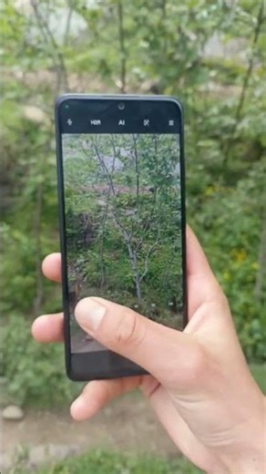 Redmi note 11 Pro camera zooming test || 108MP camera #shorts