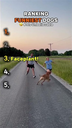Ranking The FUNNIEST Dogs! 🐶 (#1 is Total Chaos!)