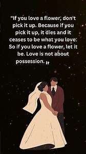 Happy Marriage Life Quotes | Marriage quotes#81 | Marriage Quotes Status #shorts #quotes #motivation