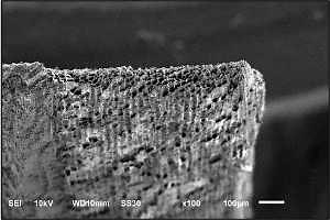 Biochar: An emerging soil amendment
