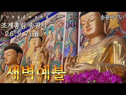 송광사 새벽예불 26.09.07(월)