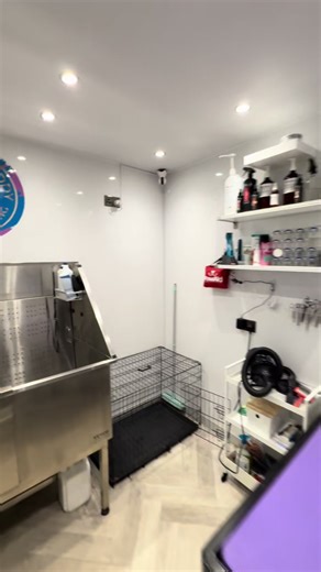 Discovering Your Ideal Dog Groomer