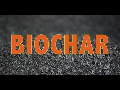 Biochar Basics Overview