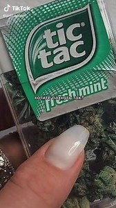 Пахни как мятное облако с ZARKOPERFUME Cloud Collection no.2