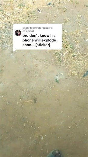 Exploring the Green Chair Glitch in Free Fire