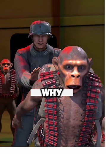 Understanding a Military Experiment Gone Wrong