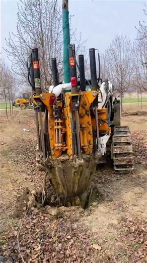 Revolutionary Tree Digging Machine: Effortless Transplanting Made Easy TreeTransplantation