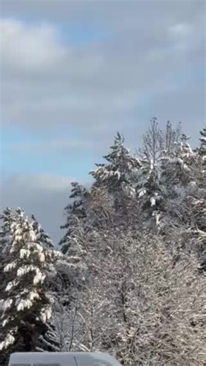 maša (@maa50032)’s videos with Tren - Bora Dugic