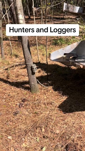 I really do respect a deer hunters items. But that doesn’t get attention! #new #tigercat #forestry #reaction #fail | Jazlyn Smith | Facebook