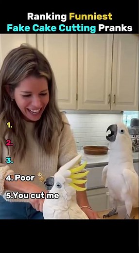 Ranking funniest fake cake cutting pranks Part 1 😂 #shorts #funnyvideos #viral