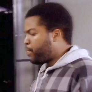 329K views · 12K reactions | Ice Cube - Check Yo self Before Yo Wreck Yourself  | VintageOld Skool | Facebook