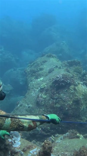 Explore Ocean View Locations in the United Kingdom