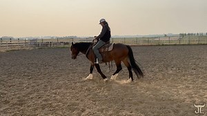 Alberta Wild Horse Trainers Challenge Ep. 8 I finally feel we are making some solid headway with Hapaco. Moments still ocur each ride where he shows his insecurities but the are getting fewer and further between. He is getting softer and a better handle every day. only a month left so the countdown is on!! Check out HayBoss Feeders if you are looking to save money and hay. | Barjlhorsetraining
