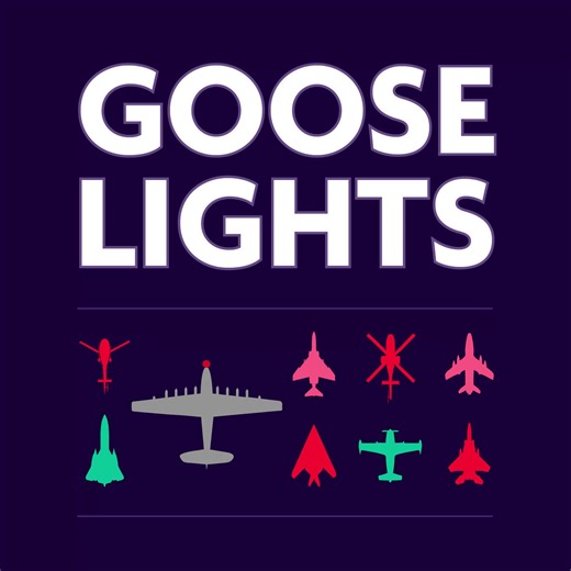 5K views · 34 reactions | ✨ GOOSE LIGHTS 2025 – NOW WITH ICE...