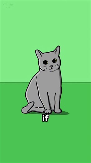 Craftee Films on Instagram: "If Cats Are Too Fast, They Teleport !"