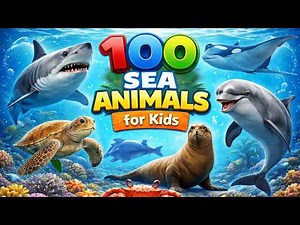 100 Sea Animals for Kids | Learn Sea Animals Names | Sea Creatures for Kids | Types of Sea Animals
