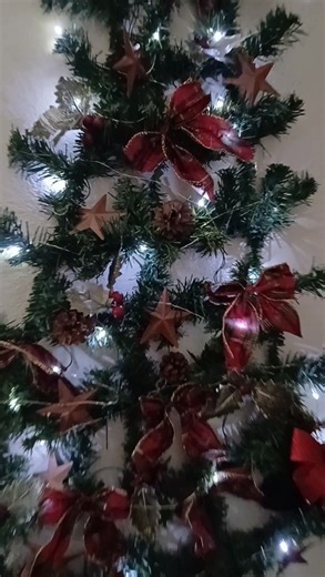 Simple Christmas 🎄 lights #christmasdecor #fbyシvideo | Gemma Albia Vander Haag