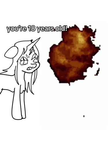 The Stoney Pony on TikTok