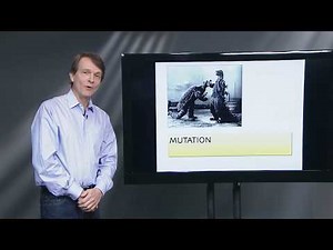 Lecture 6: Mutation and Genetic Variation