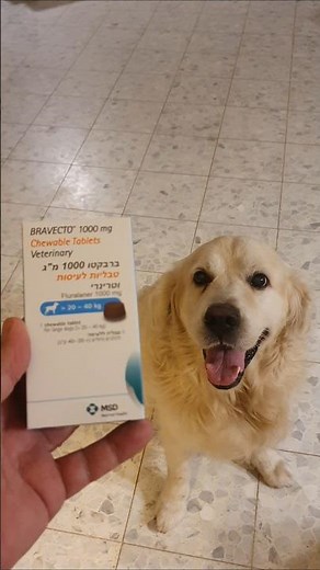 BRAVECTO 1000 mg Chewable Tablets Veterinary 20-40 kg