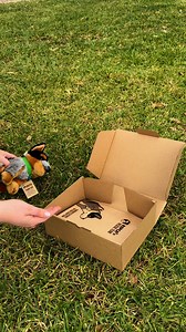 55 reactions | Make a lifesaving difference for dogs in need, and receive your adoption pack, including a plush dog  Your monthly gift will ensure that dogs in need receive essential care while they await their forever families. | RSPCA Victoria | Facebook