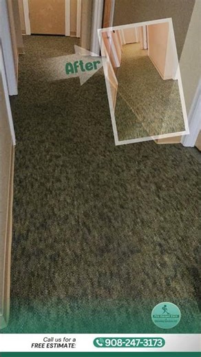 How to Clean Commercial Carpet with VLM Eye Center Offices - Basking Ridge NJ