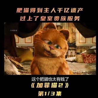 加菲猫的幸福生活