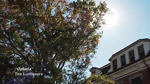 #SmallBizSat is this Saturday! Get up, get together, and #ShopSmall to show your love for your favorite local businesses! | Shop Small