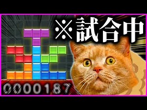 Taiyaki is confused by the incomprehensible template [#YakiCuri 74th REN] [Puyo Puyo Tetris 2]