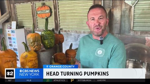 New York farm grows pumpkins shaped like familiar characters