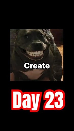 Day 23