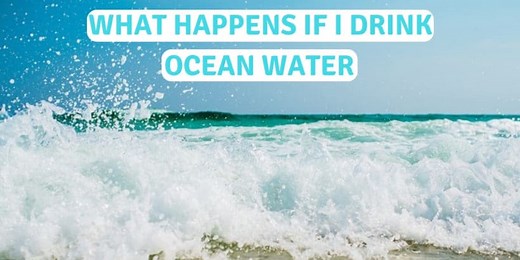 What Happens If You Drink Ocean Water | Beach Life