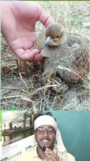 নিঝুম বনের গভীরে এক গোপন আস্তানার হাড়কাঁপানো আবিষ্কার! 😱 #shorts #thriller #viral