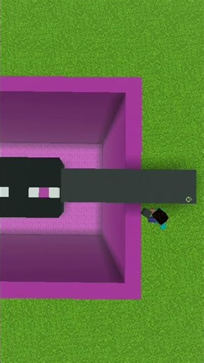 Don't Trap an Enderman Like This 😳 #minecraft