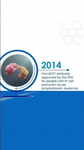 Discover how our scientist are advancing BiTE® therapies for a wide range of cancers.