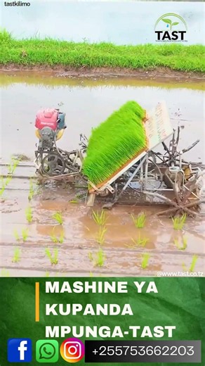 Mashine ya kupanda Mpunga kutoka TAST/TAST Rice Transplanter Machine#tast#tasty#agriculture#tanzania