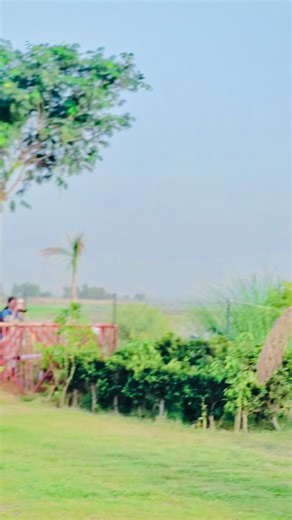 Exploring Faheem Mehboob's Insights