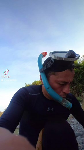 Explorando la vida en un río de agua dulce