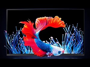 Acer Nitro 27” 4K UHD Gaming Monitor Review | 160Hz, FreeSync, 0.5ms| VG270K V4bmiipx Ultimate Setup