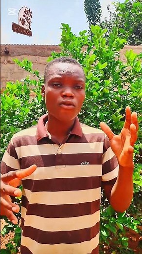 connaissez-vous les différents types de sols et les cultures adapté ??