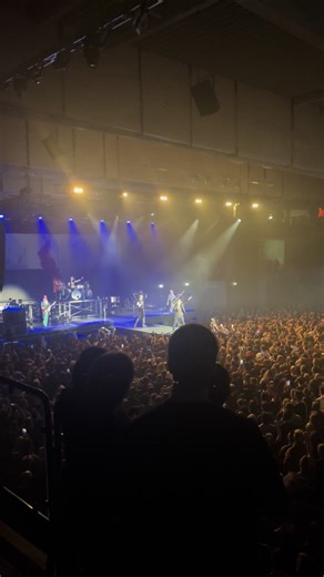 Riot — @Three Days Grace | Alienation Tour '25 Hamburg #threedaysgrace #alienationtour2025 #inselparkhamburg #hamburg #concertmemories