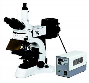BUM500FL Epi-Fluorescence Upright Microscope with B and G Filter
