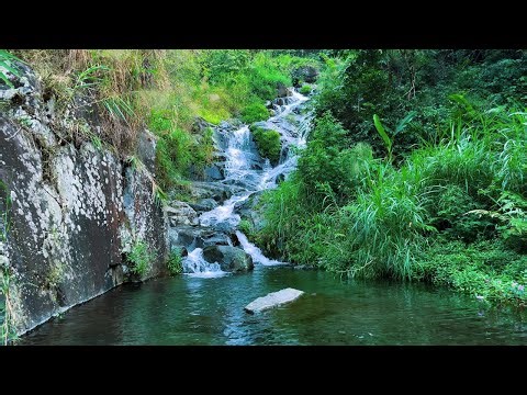 Water Sounds for Sleeping and Deep Sleep Using Soft Running Water to Enjoy Peaceful Nighttime Sleep