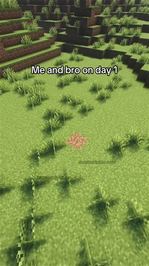 Hoe join je deze leuke kingdom server?☺️ Join discord link in bio🔗 Of copy https://discord.gg/WZUEWzBA Meld je aan tot een kingdom die jou aanspreekt!🥰 Te spelen op java en bedrock!🤍 #foryou #kingdom #java #minecraft #nederlands