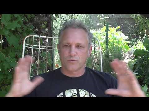 Forming the sound of PRIMUS (interview with PRIMUS original guitarist).