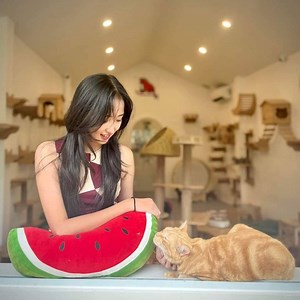 Cute girl — полная коллекция видео на RUTUBE