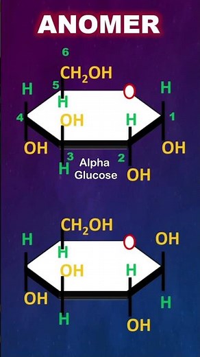 Anomers Explained in 30 Seconds | Alpha & Beta Glucose Trick | Bondbreaker03 #neet #jee