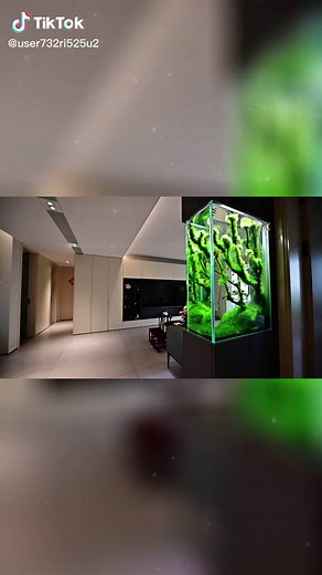 How to Design a Stunning Living Room Partition Fish Tank