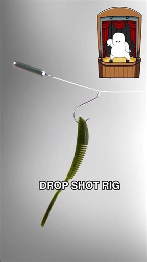 Rigging a dropshot for bass